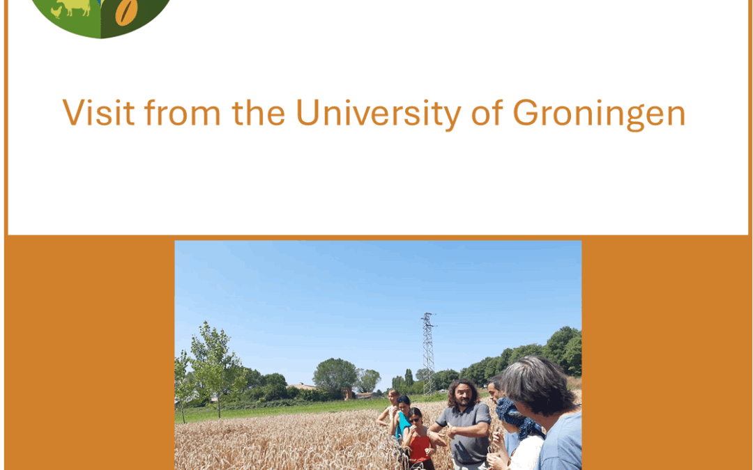 AELL Tuscany: Visit from the University of Groningen