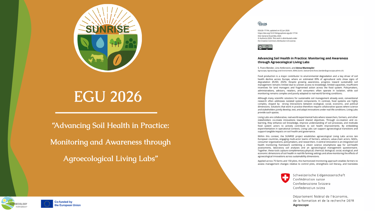 New Journal Publication (2)