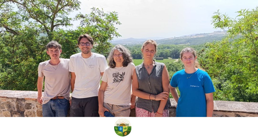 Testing Intercropping for More Resilient Farming Systems in Tuscany