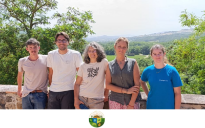 Testing Intercropping for More Resilient Farming Systems in Tuscany