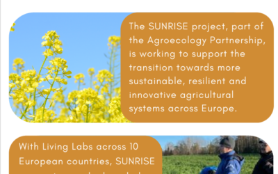 1st Newsletter