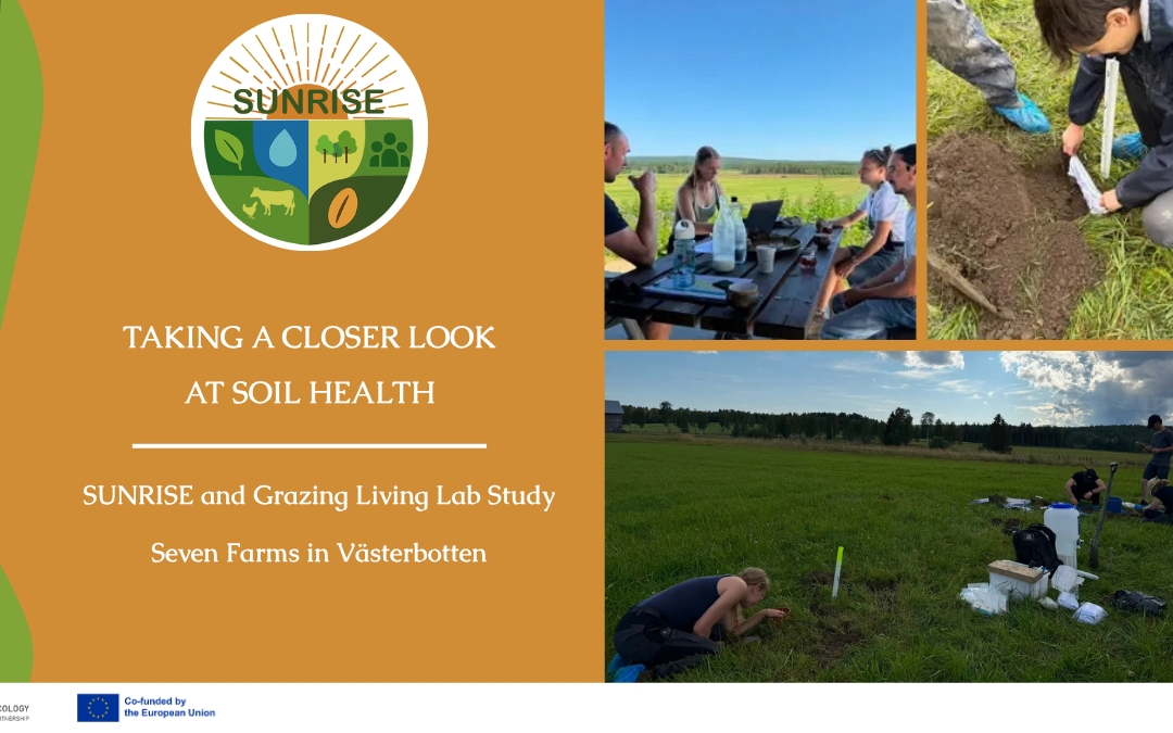 Exploring Soil Health in Northern Sweden: SUNRISE Research Across Seven Farms